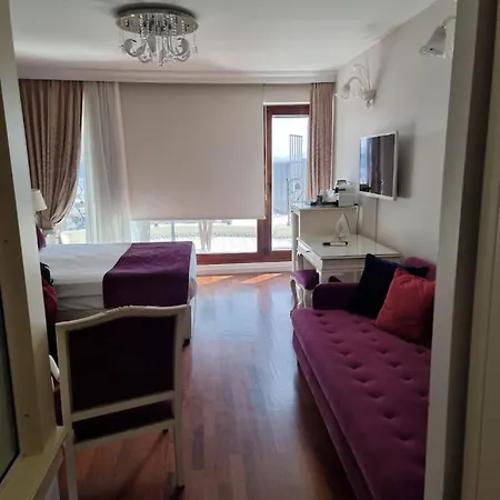 Suitel Bosphorus 酒店 *